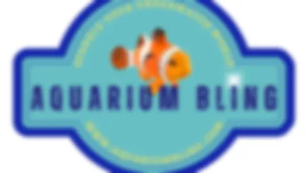 Aquarium Decor Ecommerce Shop