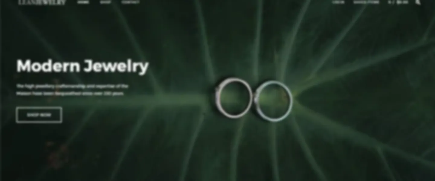 Starter Jewelry Dropshipping Store