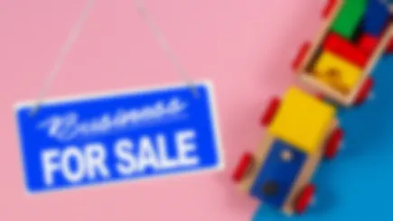 Plush Toy Trademarked Name, Ip And Designs For Sale