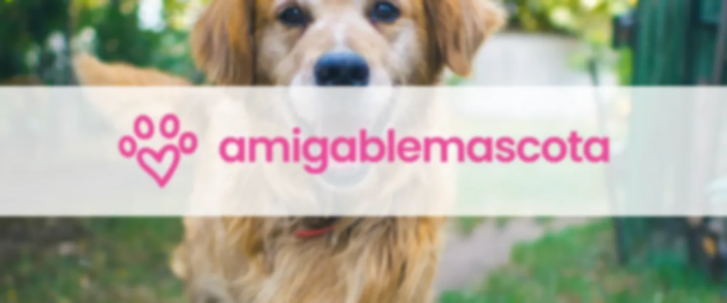 Pet Friendly Places LATAM Marketplace