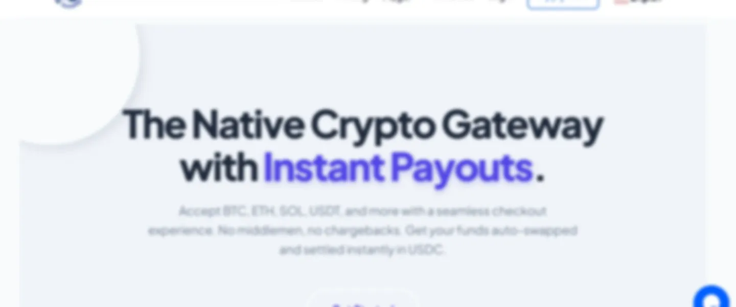 Screenshot of Crypto Payment Gateway for High-Risk Industries with Instant USDC Settlement