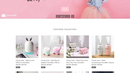 Humidifier And Diffuser Shopify Dropshipping Store 