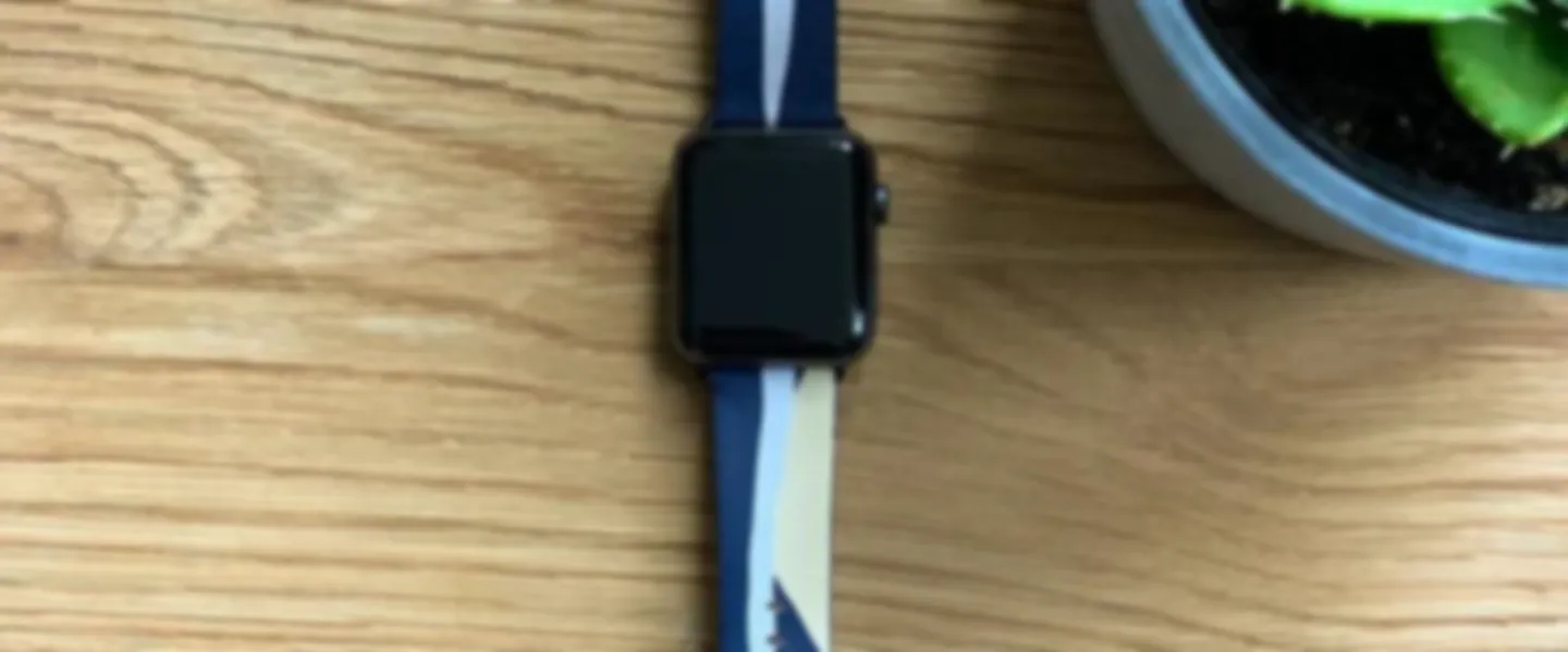 Apple Watch straps business + stock