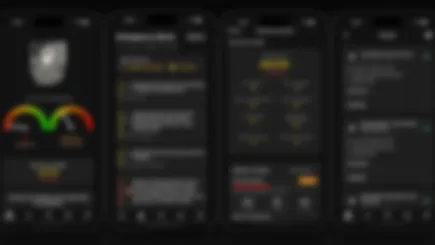 Democracy Protection Toolkit