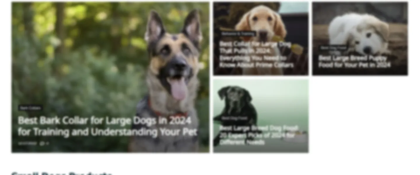 Dog Care Content Website