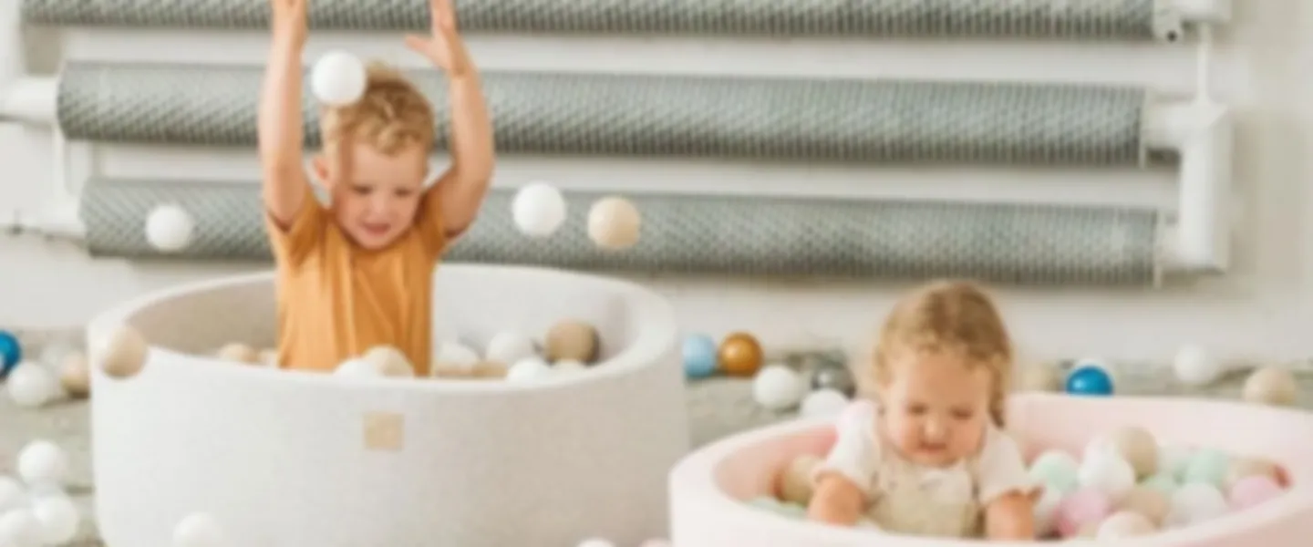 Successful E-Commerce Kids Toys Business