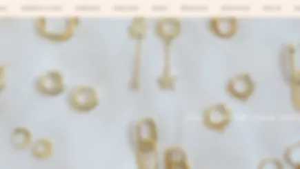 Successful 3 Year Old Dropshipping Jewelry E-Commerce Brand For Sale