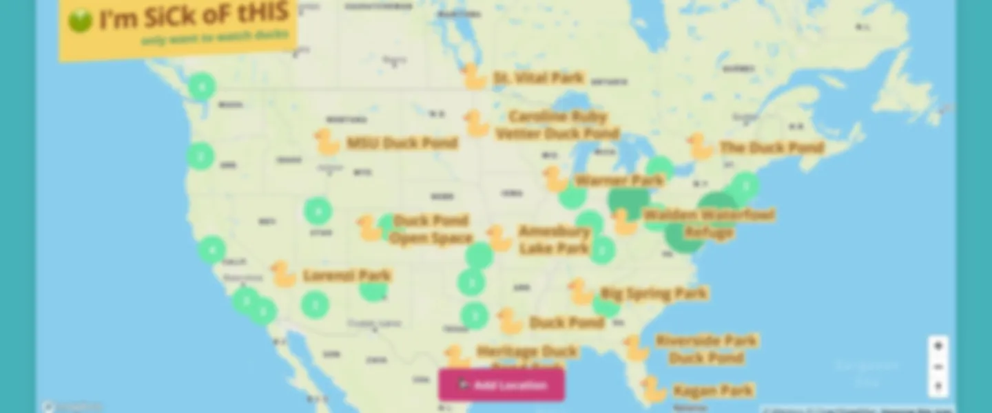 Duck Pond Finder