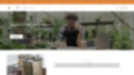 Shopify Dropshipping Store For Kitchen & Home Décor