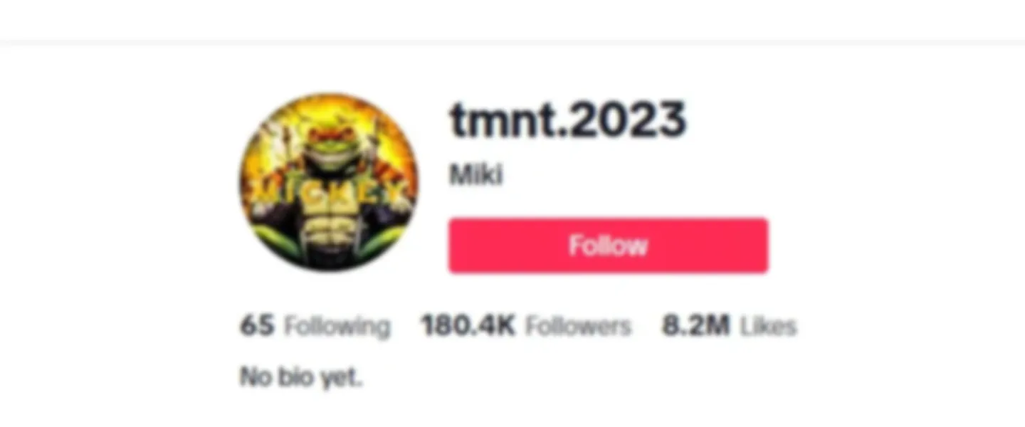 Active TikTok Account