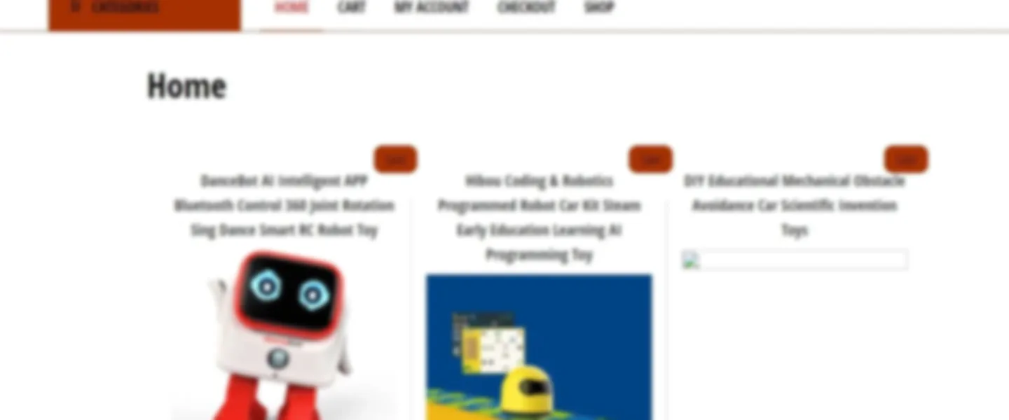 Fully Outsourced E-commerce Store