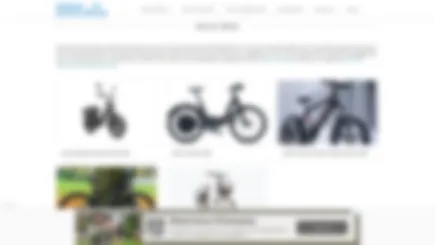 Personal Electric Vehicles Portal